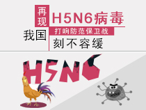 h5n6禽流感症状