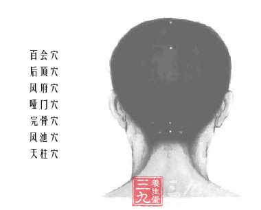 头部背面,穴位知识,穴位图解