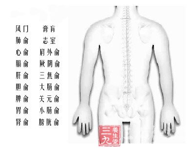 人体后背穴道图解知识详解