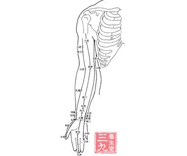 上肢内侧穴位图解知识详解