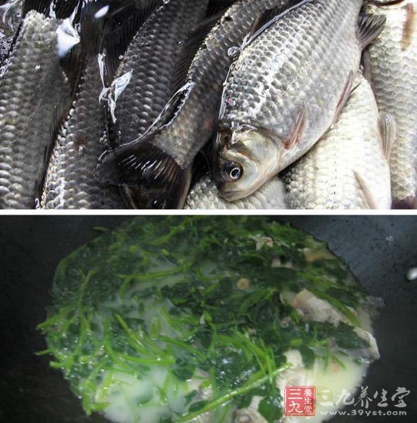 鯽魚西洋菜湯