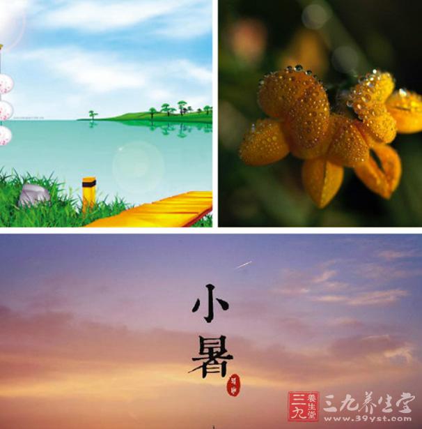 二是清热消暑。夏日气温高,暑热邪盛,人体心火较旺,因此常用些具有清热解毒清心火作用的药物,如 酸角、菊花、薄荷、金银花、连翘、荷叶等来祛暑。 二是清热消暑。夏日气温高,暑热邪盛,人体心火较旺,因此常用些具有清热解毒清心火作用的药物,如 酸角、菊花、薄荷、金银花、连翘、荷叶等来祛暑。