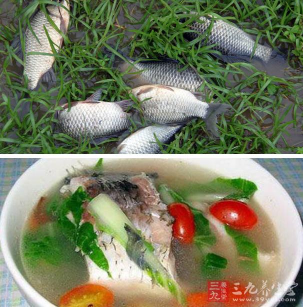 竹筍芋艿鯽魚湯