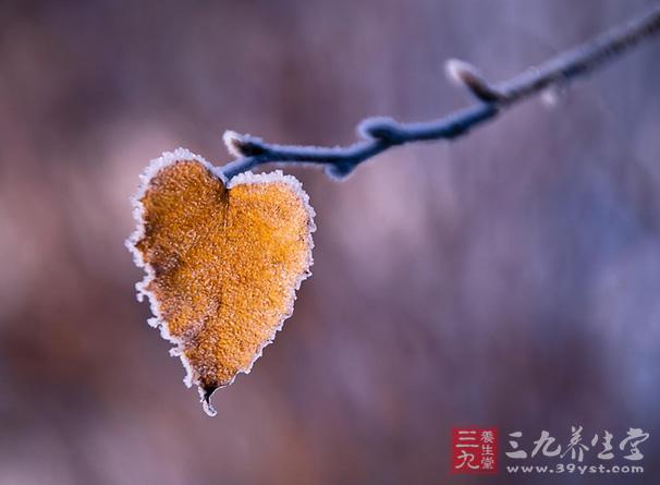 霜降含有天气渐冷,开始降霜的意思