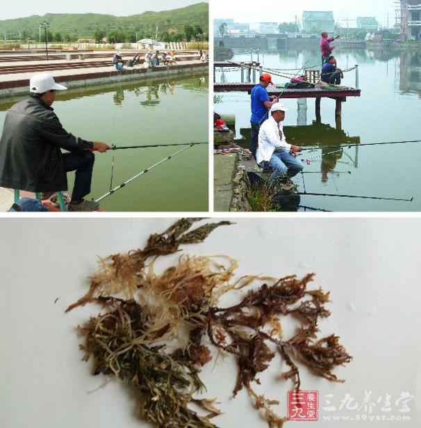 誘餌與釣餌在配制和使用方法上有許多不同之處