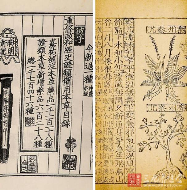 《大观本草》与《政和本草》