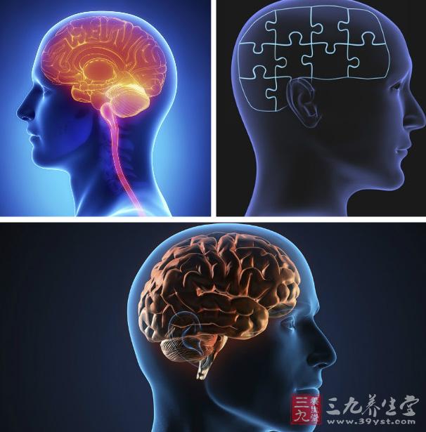 关于人类大脑十个奇特事实