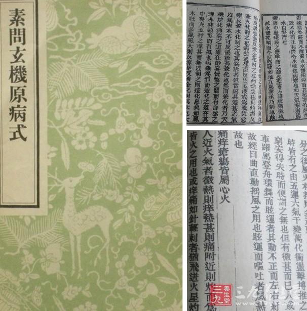 劉完素主要著作首推《素問(wèn)玄機(jī)原病式》，這部書(shū)是他多年研究《內(nèi)經(jīng)》的總結(jié)，他詳究了《內(nèi)經(jīng)》原文，并參合了隋·全元起、唐·王冰、宋·林億各家注擇，仲景傷寒學(xué)說(shuō)而著成的。