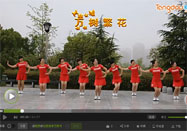 茉莉广场舞 万树繁花教学视频