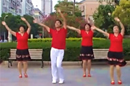 广场舞歌曲中国大武汉动作教学视频