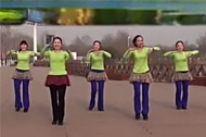 美久广场舞合家欢动作教学视频
