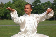 武當(dāng)太極拳 武當(dāng)十三式太極拳的動作要領(lǐng)