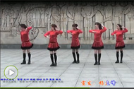 动动广场舞 优美舞蹈木棉飞花教学版视频