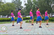 广场舞歌曲 气质迷倒人经典舞步教学视频