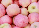 糖尿病能吃苹果吗