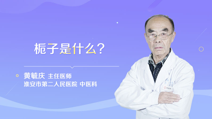 栀子是什么