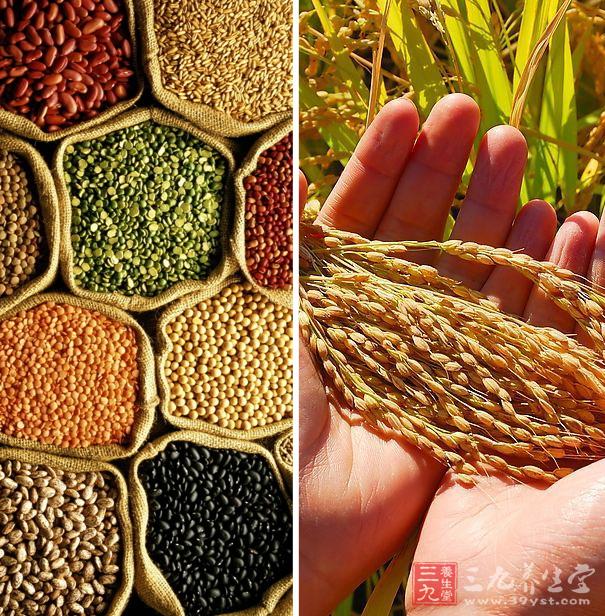 禾谷类作物包括