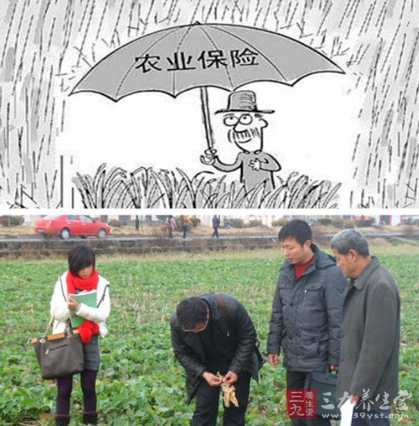 农业保险市场居全球第二 保费补贴比例高