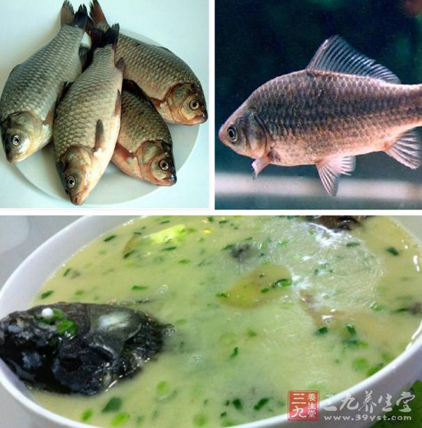 鯽魚湯