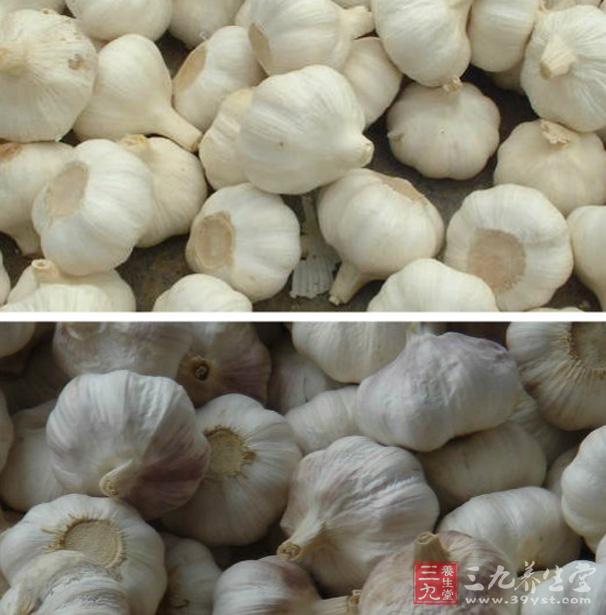 将大蒜去皮捣烂如泥,以麻油调和如膏状,先将患者头发剃去,涂于患处