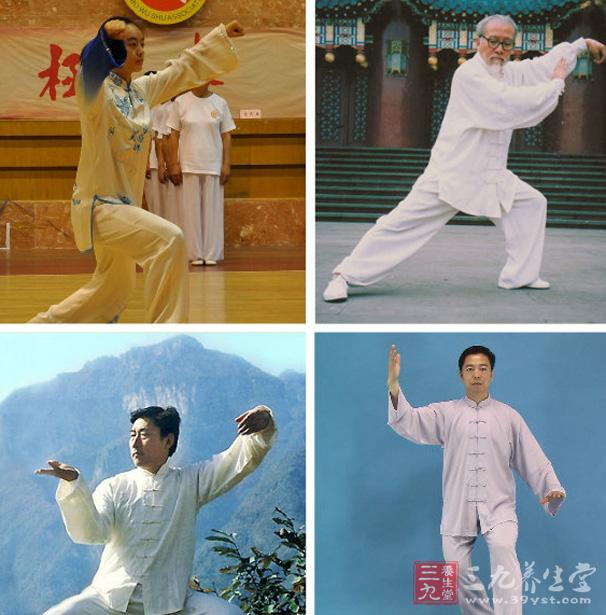 太极拳视频 杨书太演练108式武式太极拳