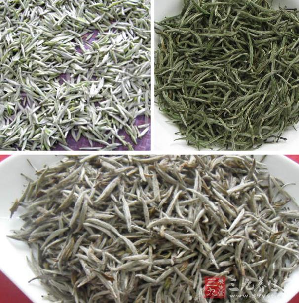 怎样辨别白茶陈茶和新茶 从哪几方面入手图片