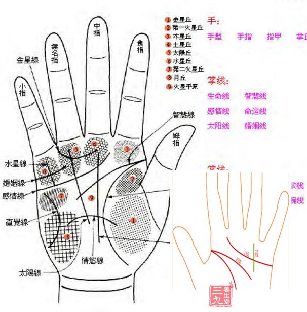 掌纹透露出的几种致命大病信号(10)