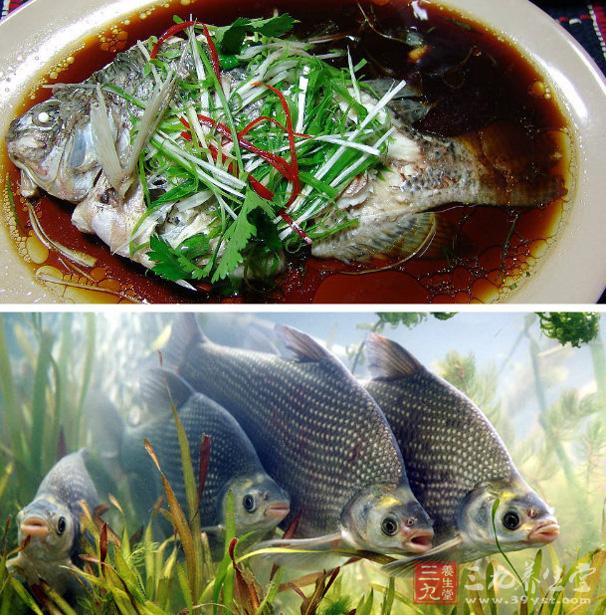 紅油豆瓣武昌魚 吃武昌魚能安胎催乳.jpg