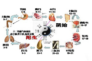 五臟六腑