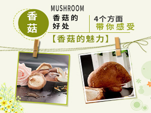 香菇的好處 4個方面帶你感受香菇的魅力