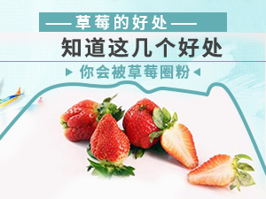 草莓的好處 知道這幾個好處你會被草莓圈粉