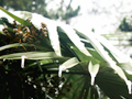 小雪节气特点是啥