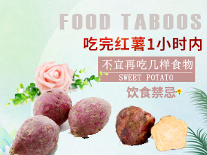 红薯