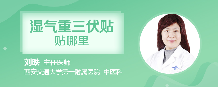 湿气重三伏贴贴哪里