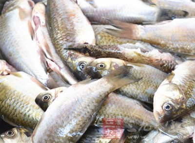 所以，魚、肉、蛋等高蛋白質(zhì)食物高度腐敗之后，味道會(huì)非?？膳? title=