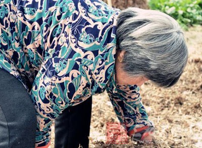 那些長壽老人