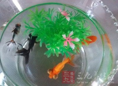 他爱鱼，懂得欣赏鱼，所以更爱家人，更懂得感恩