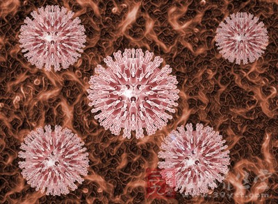 科学家揭示神经干细胞重回静默状态的重要机制