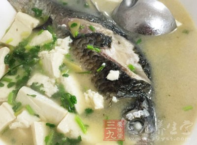 鯽魚湯的做法和營養(yǎng)