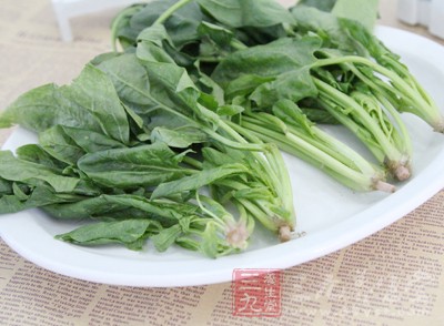 食用菠菜對(duì)于補(bǔ)血有非常好的幫助