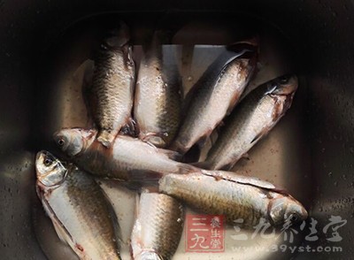 先用鮮鯽魚一條，宰殺后去內(nèi)臟留魚鱗