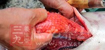 中年男性一星期至少要吃两次深海鱼 中年男性一星期至少要吃两次深海鱼