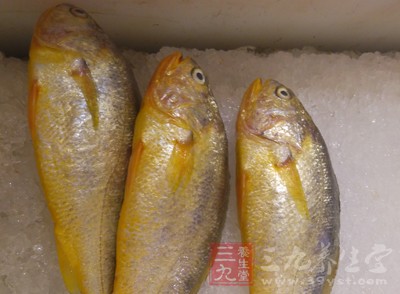 福州海鱼溯河死亡原因初步查明 因盐度过低