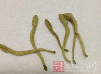 清熱解毒茶 什么樣的茶能夠清熱解毒