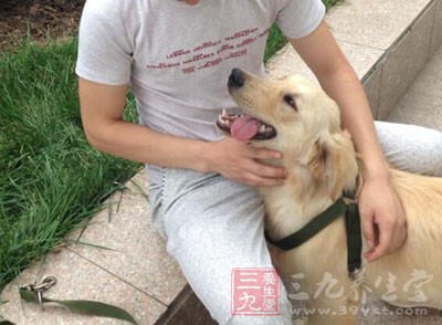 犬瘟热切记一定要通过试纸或者血清检查来确诊