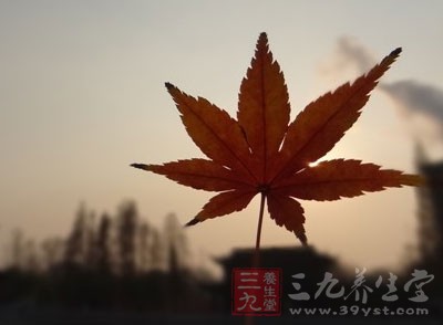 秋季是登山、賞紅葉的好時(shí)節(jié)，在欣賞美景時(shí)一定要注意安全