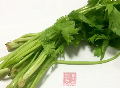 油菜、芹菜等綠色蔬菜中含有豐富的膳食纖維和維生素