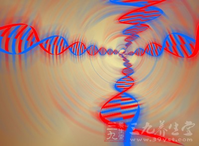 病毒基因組為單股正鏈RNA