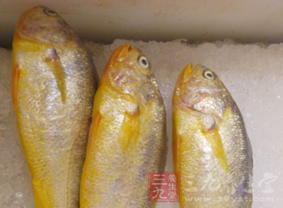 以動物性食物為主，主要有魚、蝦、蟹、牛奶、蛋、雞等