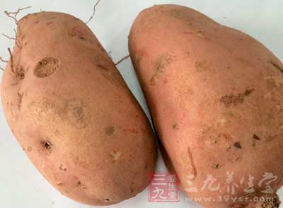 红薯的营养价值 红薯发芽后还能吃吗